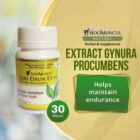 Sido Muncul Natural Extract Gynura Procumbens