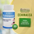 Sido Muncul Natural Echinacea